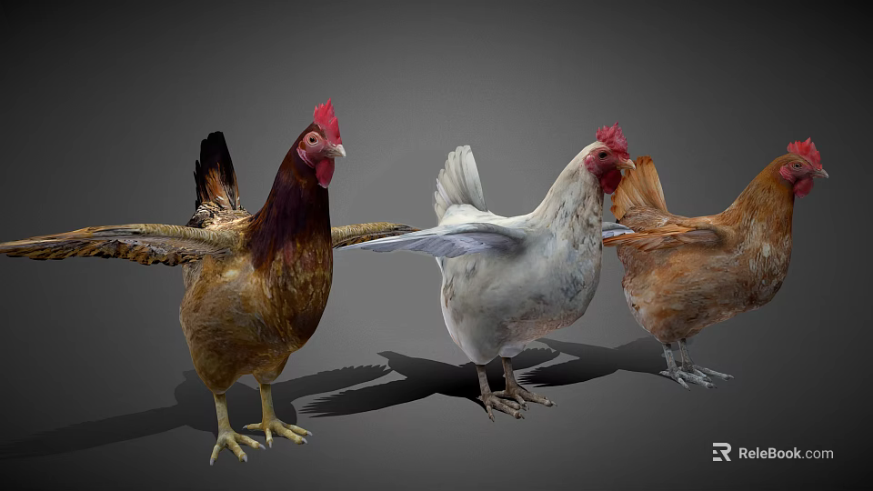 Three Colorful Chickens Standing With Spread Wings Against Gray Background Feathers And Red Combs 3d model 