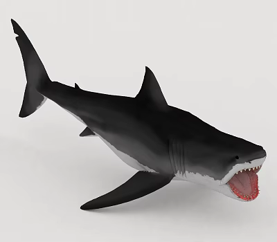 Black And White Great White Shark Aquatic Animal With Open Mouth Sharp Teeth 3d model