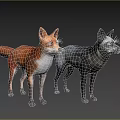 Realistic Orange Fox and Gray Wolf Standing Together on White Background 3d model