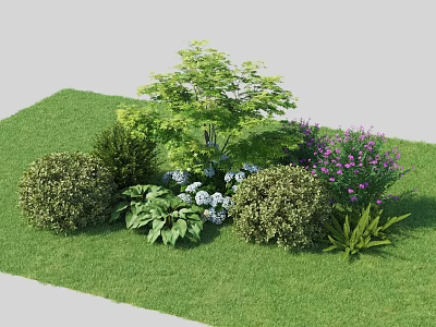 Garden Plant Combination With Green Lawn Bushes Flowering Plants And Various Heights 3d model