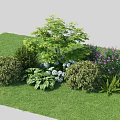 Garden Plant Combination With Green Lawn Bushes Flowering Plants And Various Heights