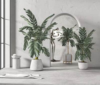 Large Leaf Tropical Potted Plants In White Pots For Modern Interior Decor 3d model