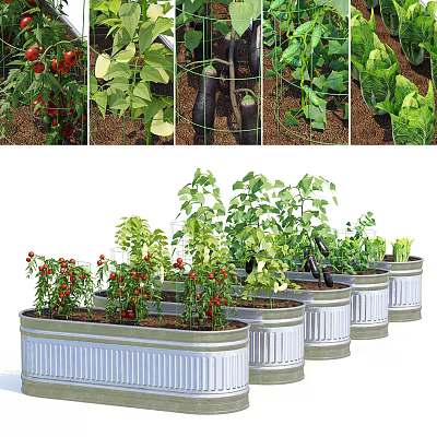 vegetable garden 3d model