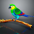 Modern Parrot Xuan Feng Parrot Budgie Shang Parrot 3d model