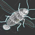 Realistic 3D Firefly Model With Black Body Red Head And Green Glowing Tail