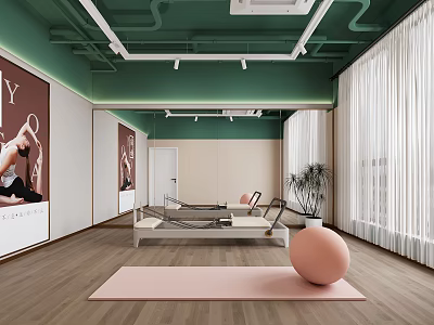 Indoor Yoga Pilates Fitness Studio With Pink Mat Ball Reformer Green Ceiling 3d model