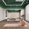 Indoor Yoga Pilates Fitness Studio With Pink Mat Ball Reformer Green Ceiling