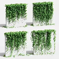 Natural Style Decorative Ornament Set With Green Vines Covering White Cubes