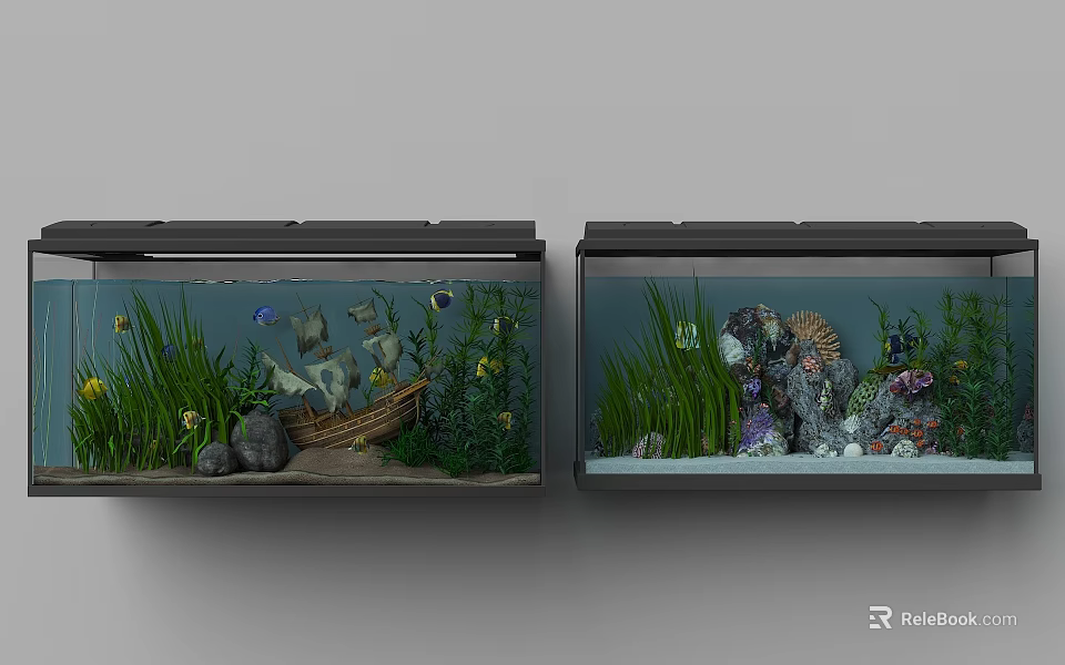 Dual Aquarium Tank Setup With Decorative Boat Shells Stones And Aquatic Plants 3d model 