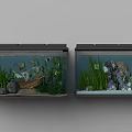 Dual Aquarium Tank Setup With Decorative Boat Shells Stones And Aquatic Plants