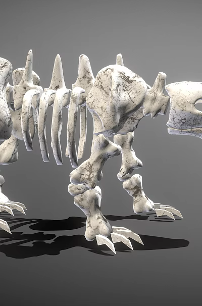 Detailed Reptile Skeleton Anatomical Structure With Vertebrae Limb And Skull Bones 3d model