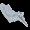Human Ear 3D Anatomical Model Displaying Internal Structures and Details 3d model