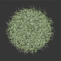 Lush Green Grass Round Patch With Vibrant Texture Against Dark Background 3d model