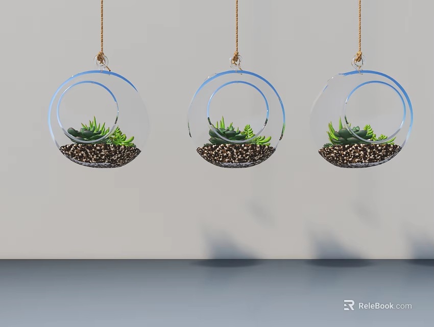 Three Transparent Hanging Glass Planters with Green Succulents for Indoor Decoration 3d model 