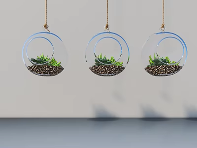 Three Transparent Hanging Glass Planters with Green Succulents for Indoor Decoration 3d model