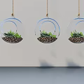 Three Transparent Hanging Glass Planters with Green Succulents for Indoor Decoration