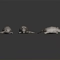 Three Soft Gray Plush Mice Stuffed Toys Posing On Dark Reflective Surface