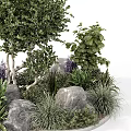 Bonsai Potted Tree Arrangement With Green Plants Rocks And Purple Ferns