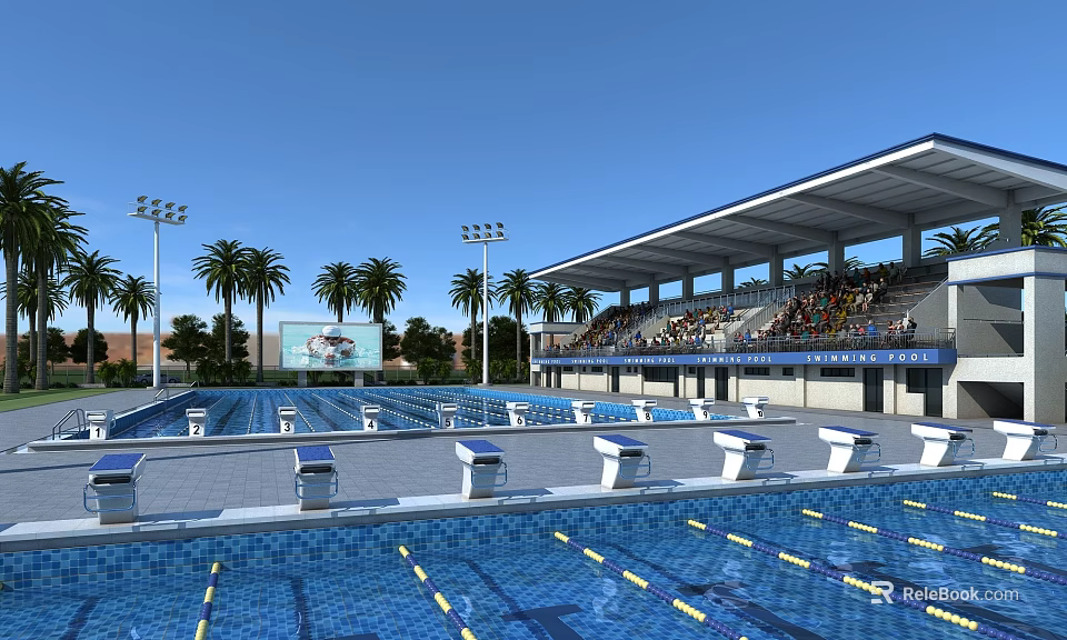 Large Outdoor Swimming Pool With Starting Blocks Spectator Seats And Palm Trees 3d model 