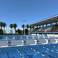 Large Outdoor Swimming Pool With Starting Blocks Spectator Seats And Palm Trees