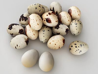 Pile of Fresh Spotted Quail Eggs With White Eggs On Light Surface 3d model