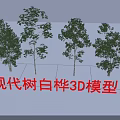 Modern Birch Trees 3D Models Featuring Realistic Design And Detailed Foliage 3d model