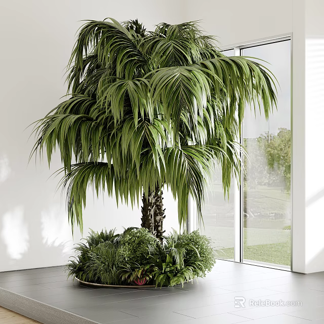 Large Green Palmlike Potted Plant Decor In Indoor Window Space With Small Plants 3d model 
