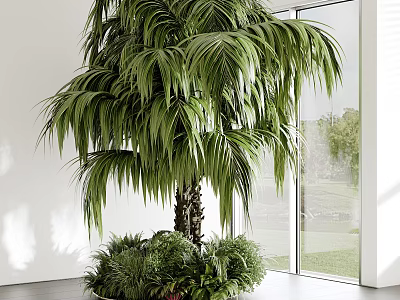 Large Green Palmlike Potted Plant Decor In Indoor Window Space With Small Plants 3d model