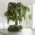 Large Green Palmlike Potted Plant Decor In Indoor Window Space With Small Plants