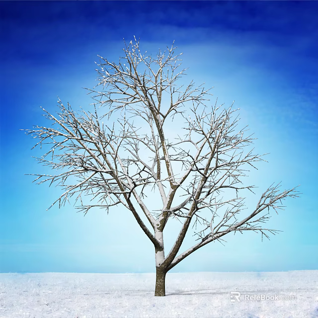 Snow Covered Leafless Tree With Frosted Branches Against Clear Blue Sky And Snowy Ground 3d model 