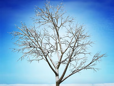 Snow Covered Leafless Tree With Frosted Branches Against Clear Blue Sky And Snowy Ground 3d model
