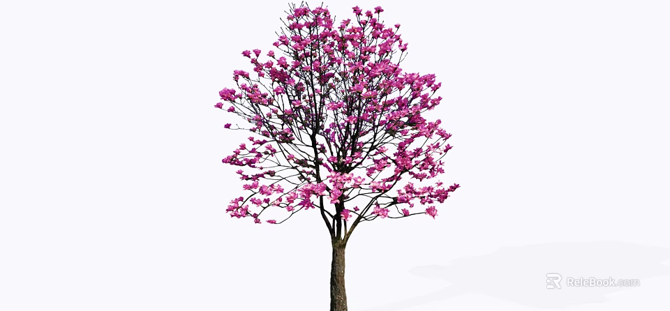 Graceful Flowering Arbor With Pink Blossoms And Brown Trunk In Bloom 3d model 