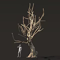 Tall Leafless Tree With Thick Trunk And Standing Figure Against Dark Background