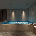 Luxury SPA Sauna Interior Design With Marble Walls Plunge Pool And Modern Vanity
