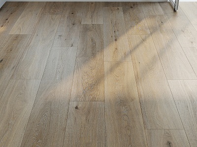 Modern Wood Flooring model