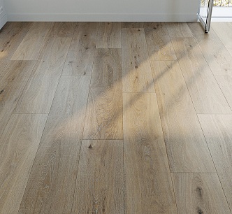 Modern Wood Flooring 3d model