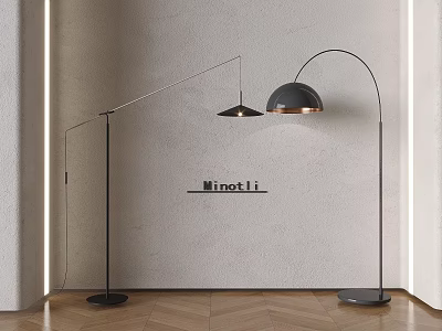 Modern Interior Floor Lamps With Arched Stands Dark Shades And Wooden Floor 3d model
