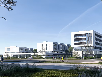 Modern White Multi Story School Buildings With Green Lawns And Trees On Campus 3d model