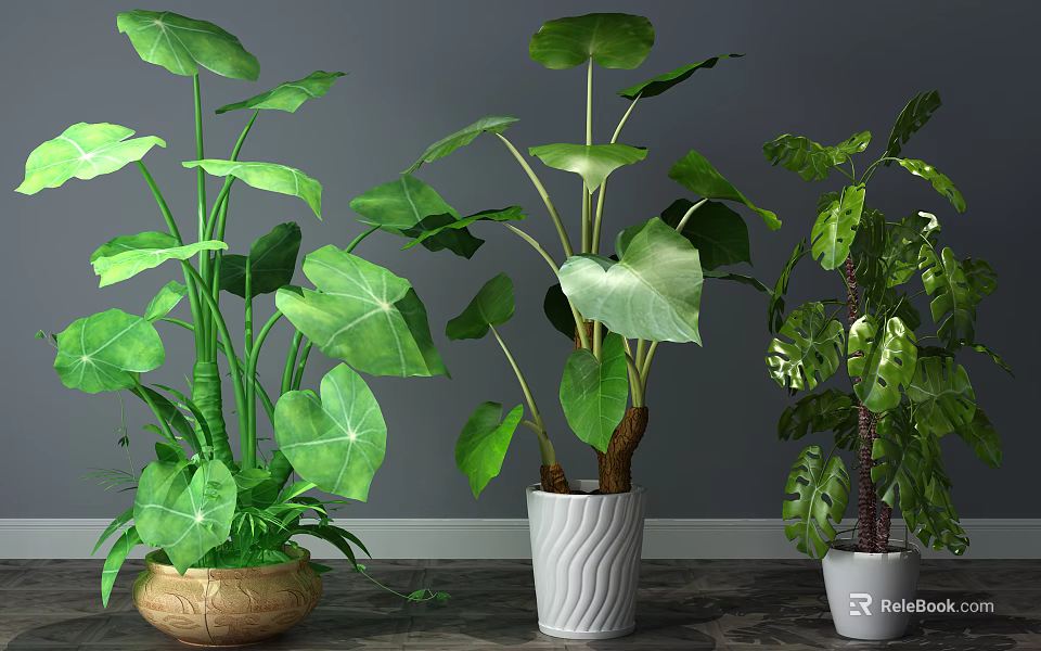 Various Green Leafy Potted Plants in Different Styled Pots for Indoor Home Decor 3d model 