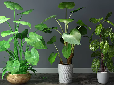 Various Green Leafy Potted Plants in Different Styled Pots for Indoor Home Decor 3d model