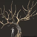 Tall Leafless Tree With Thick Trunk And Twisted Branches Beside Standing Small Statue Figure