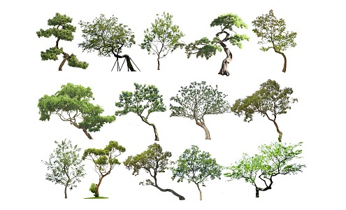 2d landscape tree modeling tree modeling tree 3d model