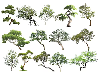 2d landscape tree modeling tree modeling tree 3d model