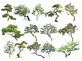 2d landscape tree modeling tree modeling tree 3d model