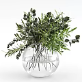 Transparent Glass Vase With Fresh Green Foliage And Submerged Stems In Clear Water
