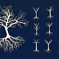 Detailed Illustration Of White Trees With Various Root And Branch Shapes