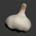 Fresh Whole Garlic Bulb With Natural Skin Texture On Dark Background