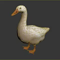 White Duck With Orange Beak And Feet Standing On Dark Reflective Surface