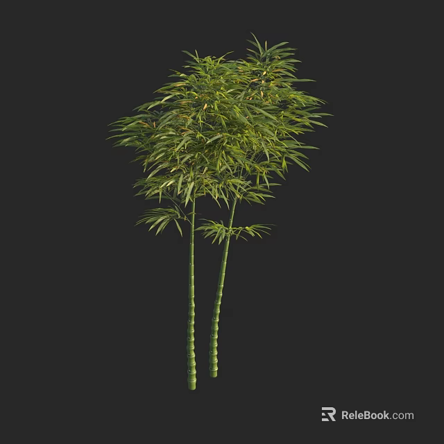 Bamboo Plant with Two Stalks and Lush Green Leaves Against Black Background 3d model 