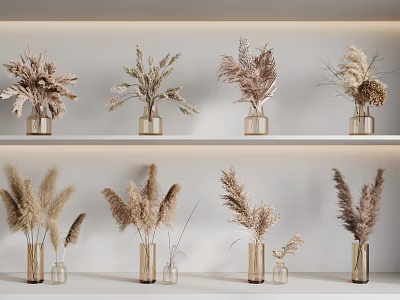 Glass Vases With Dried Flowers In Natural Tones On White Shelves Minimalist Modern Decor 3d model